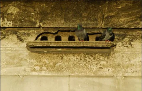 Ayazma Camii’nin doğu köşesindeki avlu kapısının iç kısmında yer alan kuş evleri. Görsel kaynak: Yılmaz, D.