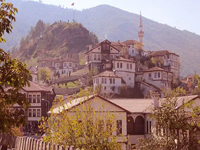 Taraklı genel görünüm. Görsel kaynak: Pinatolia